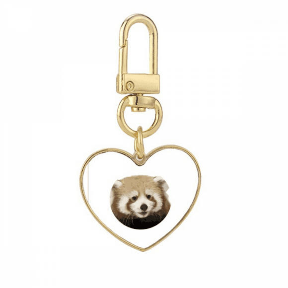 Brown Jungle Civet Cats Lovely Little Gold Heart Keychain Metal Keyring Holder