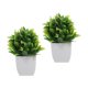 thumbnail image 5 of BRIGHTFUFU 2Ud Con Plantas Falsas Para Hogar Estilo Y Bajo Mantenimiento, 5 of 8