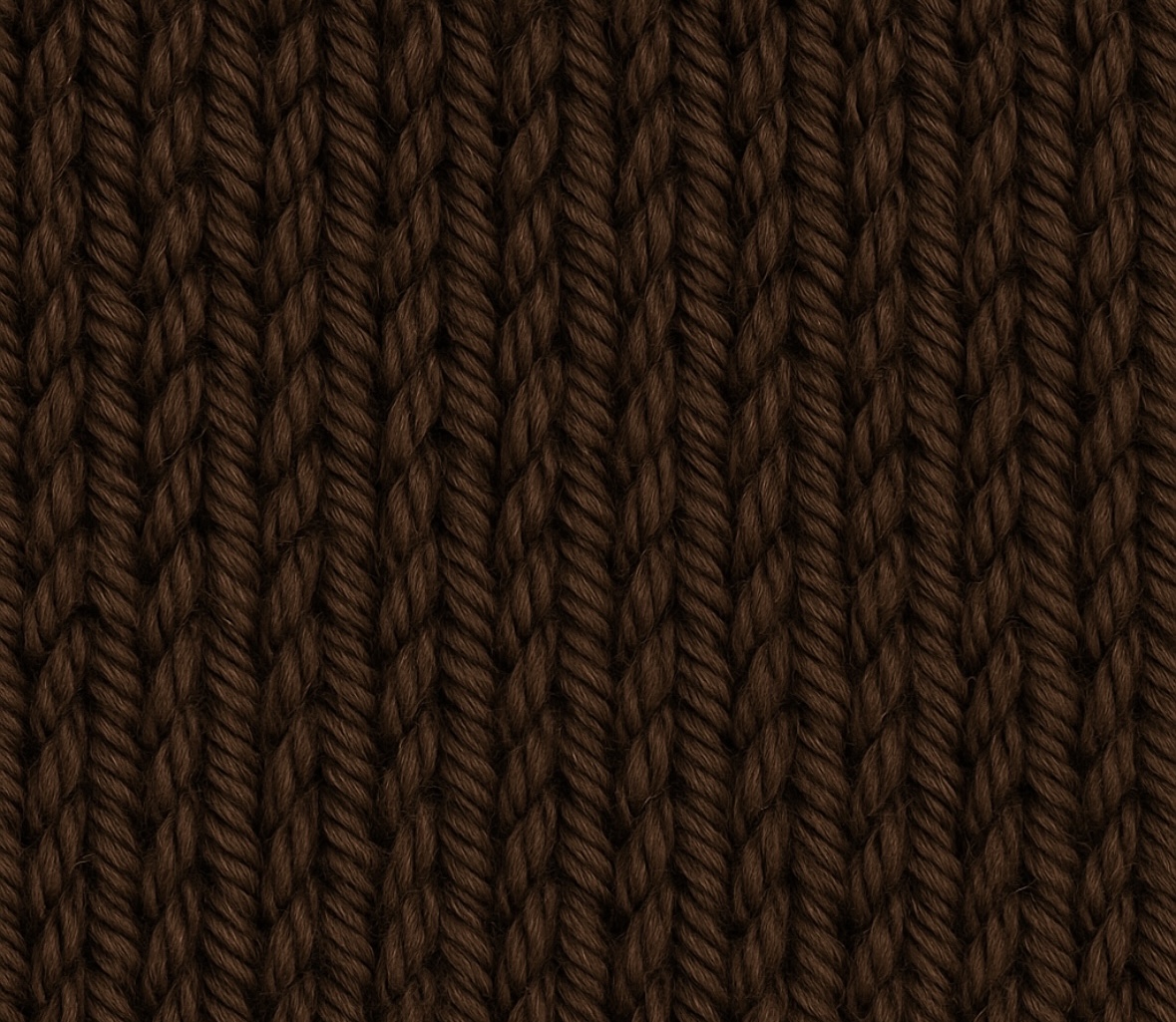 Big Twist Value Yarn Bundle- 2 Pack Chocolate Brown