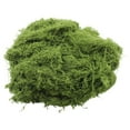 thumbnail image 1 of Bgsha Realistic Faux Moss for Model Making 50g 100g 200g Enhances Creativity, 1 of 9