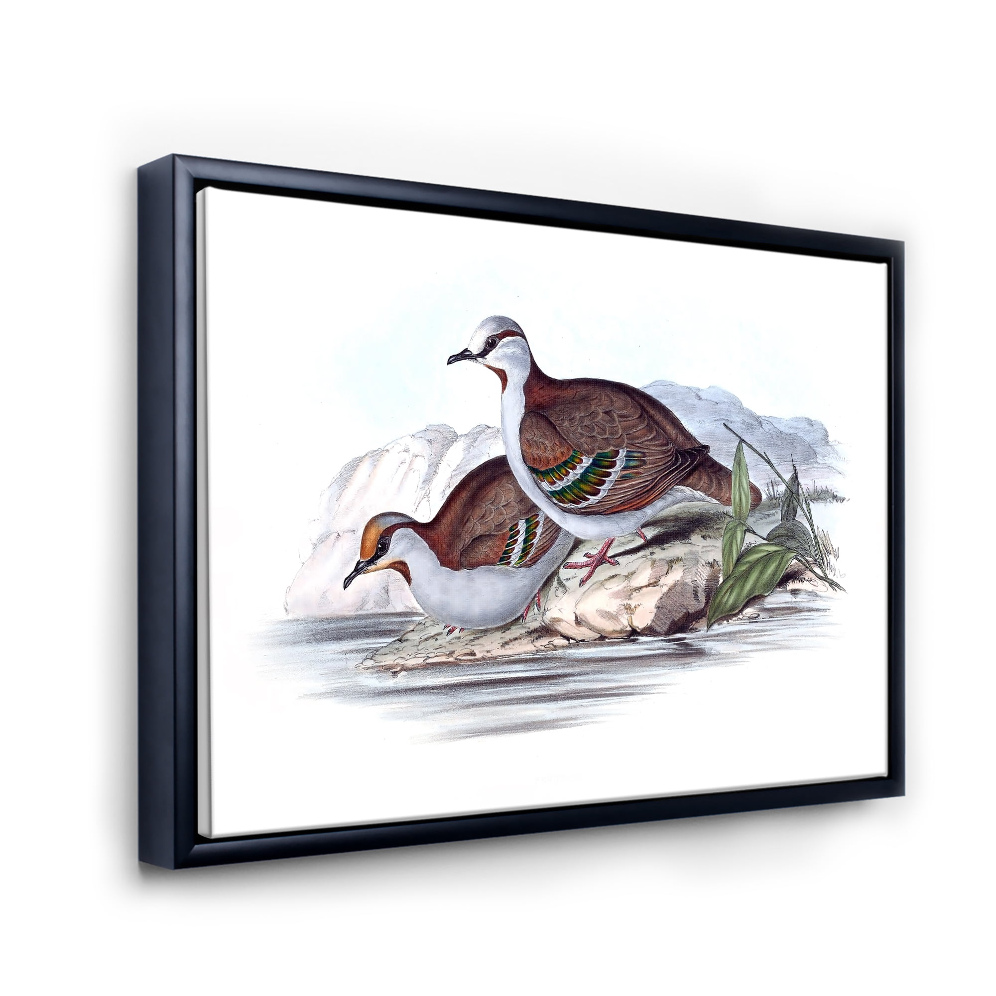 Ancient Australian Birds IX 32 in x 24 in Framed Painting Canvas Art Print, by Designart