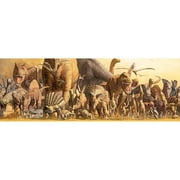 Takino Dinosaurs Photography Art