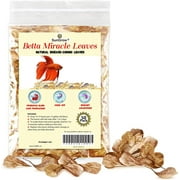 SunGrow Indian Almond Leaves, 2-Inches, Water Conditioner for Betta & Gouramis, 50 Leaves per Pack