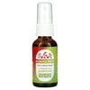 Eclectic Institute Kids Throat Spray, Echinacea Goldenseal, 1 fl oz (30 ml)