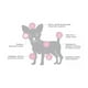 thumbnail image 3 of Alimento Para Perro Nupec Cachorro Razas Mini 3 KG, 3 of 5