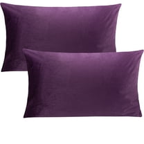 Flxxie Ultra Fluffy Soft Velvet Pillowcase with Zipper Set of 2, King 20" x 36", Purple