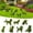 A, variant on zhonghuaying C1 Pack Dog Figurine Garden Ornament, Flocked Animal Statues in Assorted Poses for Outdoor & Yard Landscaping C