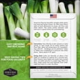 thumbnail image 4 of 3 Packs Large American Flag Leek Seeds - Non-GMO Heirloom Full Sun Perennial Vegetable, 4 of 6