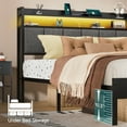 View all media