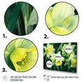 thumbnail image 3 of Designart "Nature s Impression of Daffodils in Yellow and Green II" Floral Wall Art Prints Set, 3 of 5