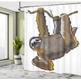 thumbnail image 5 of Ambesonne Animal Shower Curtain, Lazy Sloth Bear Cartoon, 69"Wx75"L, Grey, 5 of 5