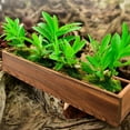 thumbnail image 2 of KALLORY Simple Elegant Wood Flower Pot Planter Box for Balcony Office Decoration, 2 of 11