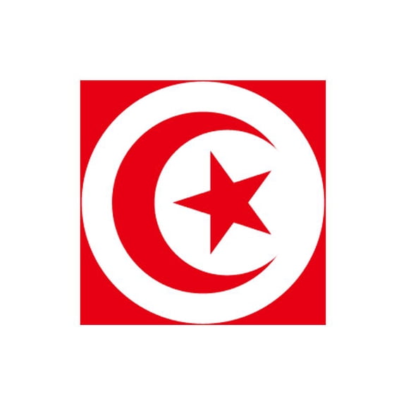 Y H M National Flag Tunisia Flag 4 x 6 feet Bunting For Marine Industrial Use