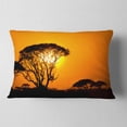 thumbnail image 2 of Designart Beautiful African Sunset in Savannah - African Landscape Printed Throw Pillow - 12x20, 2 of 5