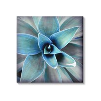 Stupell Modern Close Up Plant Leaves Botanical & Floral Photography Gallery Wrapped Canvas Print Wall Art