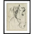 thumbnail image 2 of Art.com Horse in Bridle Sketch I Art Print by Jennifer Parker, Black Frame Wall Art, 23" x 29", 2 of 5