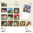 thumbnail image 2 of Collies 2025 12 X 24 Inch Monthly Square Wall Calendar Plastic-Free (Wall), 2 of 9