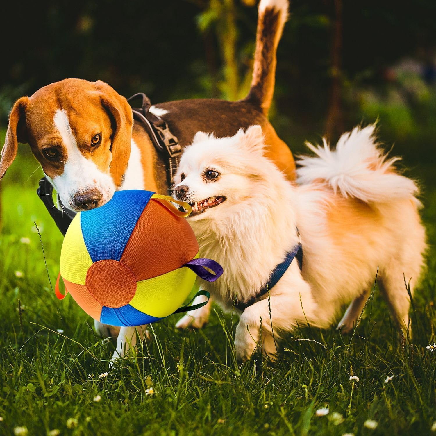 Herding Ball for Dogs, Large Inflatable Dog Toy with Tear-Resistant Cover, Available in 10/18/22 Inch Sizes, Includes Pump (Small)