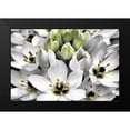 thumbnail image 2 of Frates, Dennis 24x17 Black Modern Framed Museum Art Print Titled - Blooming Stars, 2 of 5