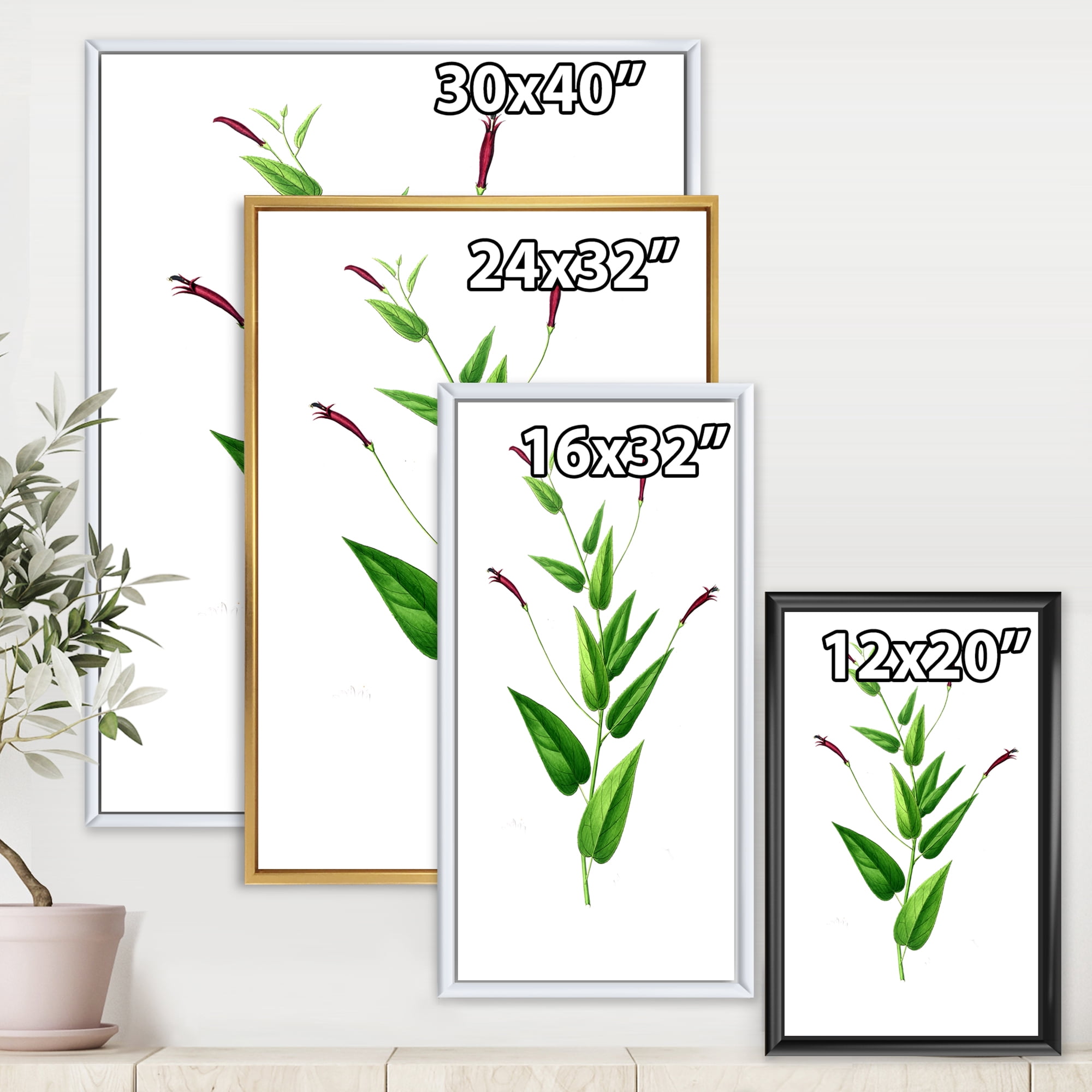 Designart 'Ancient London Plants VII' Traditional Framed Canvas Wall Art Print