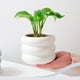 thumbnail image 4 of Maceta Circular Ilios Innova T11-Bla Blanco, 4 of 5