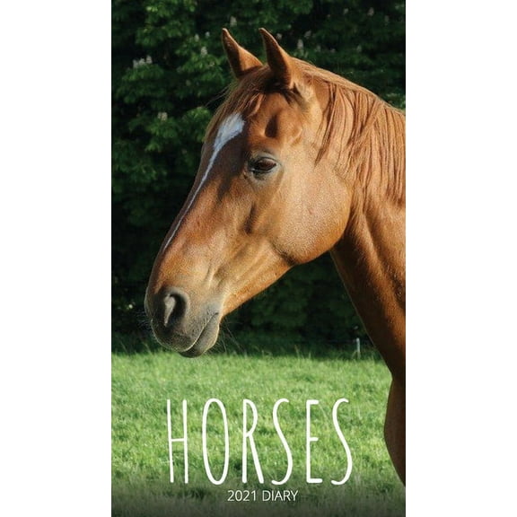 Horses 2021 Diary: Slim Pocket Calendar, Monthly Planner, Date Book, Organizer, Notepad, (Paperback)
