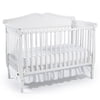 Graco Rachel 4 In 1 Convertible Crib
