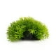 thumbnail image 4 of Accesorios para tanque de peces de acuario decoración de hierba verde planta de agua de plástico Artificial ANGGREK Otros, 4 of 8