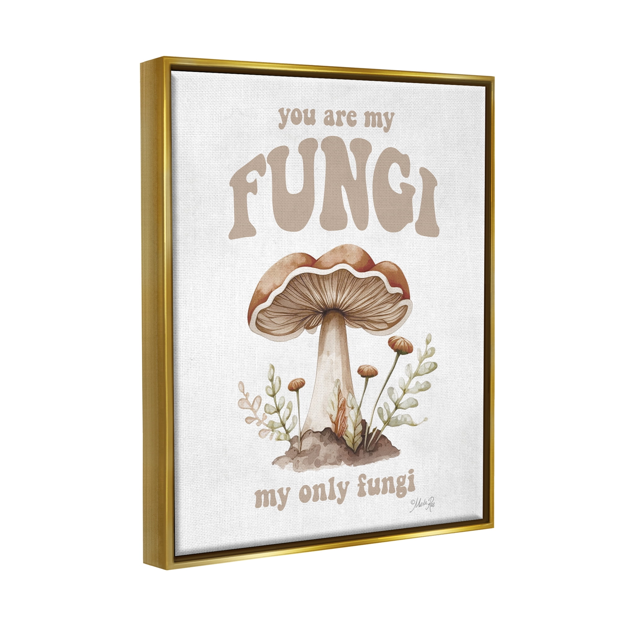 Stupell Industries You Are My Fungi Phrase Botanical & Floral Painting Gold Floater Framed Art Print Wall Art, 17 x 21