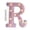 R, variant on Blueek Colorful LED Alphabet Light - Portable Decorative Letter Lamp for Home, Parties, Bars & More