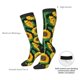 thumbnail image 4 of Fotbe Sunflower 1 Calcetas Divertidas Estampadas para Hombre y Mujer, Calcetas de Algodón hasta la Rodilla para Caminar, Correr, Enfermería y Embarazo, 4 of 6