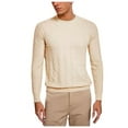 thumbnail image 5 of Men's Textured Knit Sweater: Crew Neck, Ribbed Pattern for Casual & Layered Outfits, 5 of 6