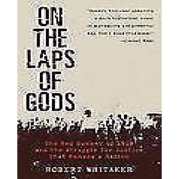 On the Laps of Gods: The Red Summer of 1919 and the Struggle for Justice That Remade a Nation