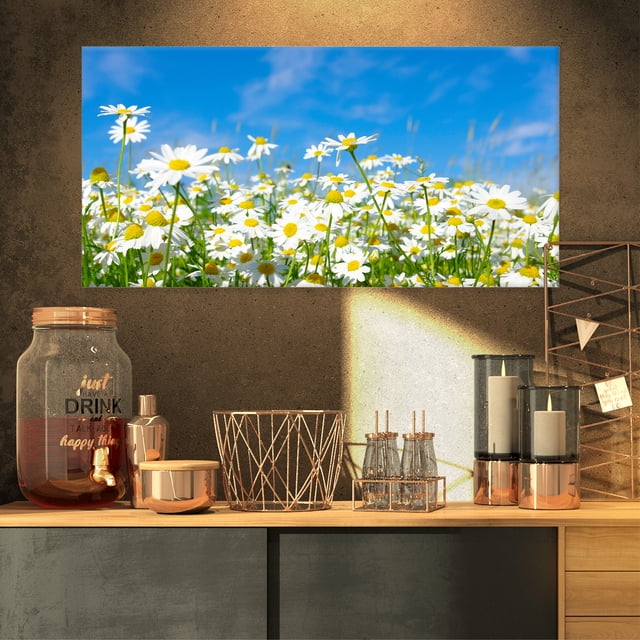 Marguerites Blanches sous un Ciel Bleu Vif - Impression d'Art Floral sur Toile
