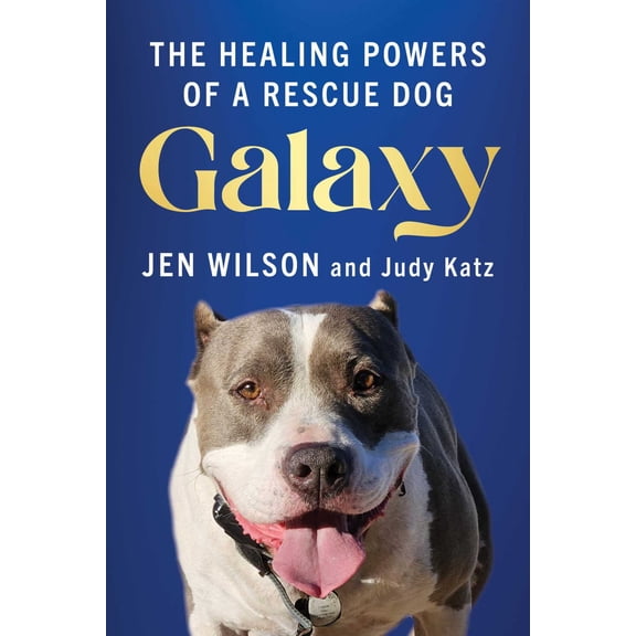 Galaxy: The Healing Powers of a Rescue Dog (Paperback)