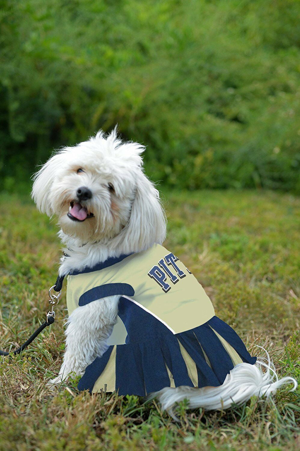 steelers dog cheerleader costume
