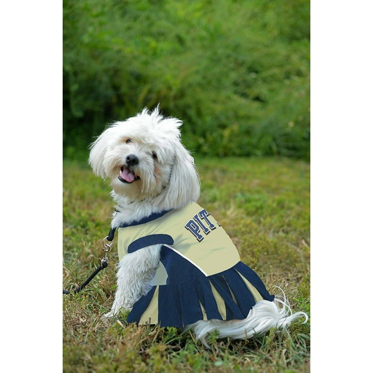 Pets First College Pittsburgh Panthers Cheerleader, 3 Sizes Pet