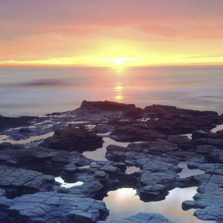 Sunset Cliffs Tidepools on the Pacific Ocean Reflecting the Sunset, San Diego, California, USA Print Wall Art By Christopher Talbot