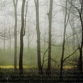 thumbnail image 2 of Studio 2 26x26 Gold Ornate Wood Framed with Double Matting Museum Art Print Titled - Partners IV, 2 of 4
