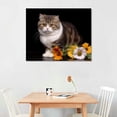 thumbnail image 2 of Nawypu Scottish Fold Pictures Canvas Wall Art Animal Prints Poster Printing Living Room Bedroom Kids Room Decor, 2 of 4