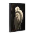 thumbnail image 2 of Stupell Industries Coastal Feathered Egret in Soft Light Black Floating Frame Canvas Art, 17 x 25, by Petals Prints Design, 2 of 8