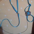 thumbnail image 3 of maskred Pet Bird Outdoor Flying Anti-bite Nylon Adjustable Training Walking Leash Rope blue, 3 of 8