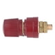 thumbnail image 1 of Terminal de Enchufe Tipo Banana ANGGREK Conector de Terminal de Latón M6, 1 of 8