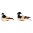 thumbnail image 1 of RAZ Imports Tri-Colored Brown Bird 3 x 1.5 Sisal Decorative Clip On Ornament Set of 2, 1 of 1