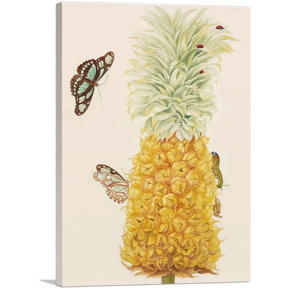 ARTCANVAS Ripe Pineapple With Dido Longwing Butterfly 1702 Canvas Art Print by Maria Sibylla Merian - Size: 40" x 26" (1.50" Deep)