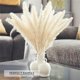 thumbnail image 2 of Paquete de 30 floreros secos artificiales de hierba de pampa de 60 cm, pampas gr, 2 of 5