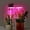 Pink, variant on 2026 New OtherLED Ring Grows Plants Light USB Indoor Plants Grows Light For Succulents Herbs Desk Shelf Garden Plants Lamp Enhance Growth