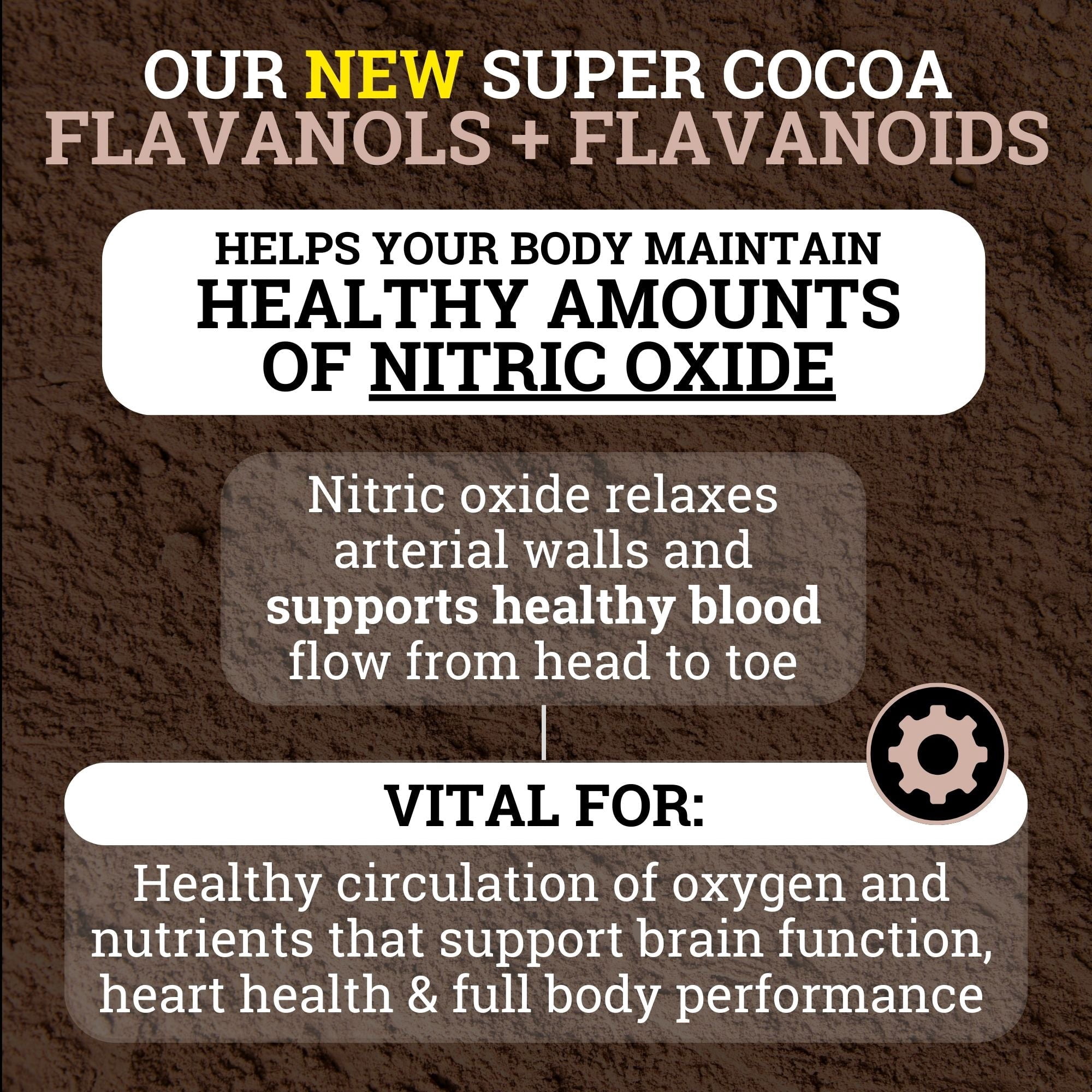Supercharged Cocoa Flavanols 1950MG | 12X Potency