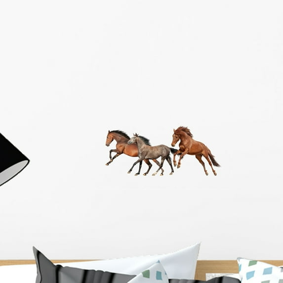 Herd Beautiful Horses Wall Decal Wallmonkeys Peel and Stick Graphic (18 in W x 9 in H) WM502596