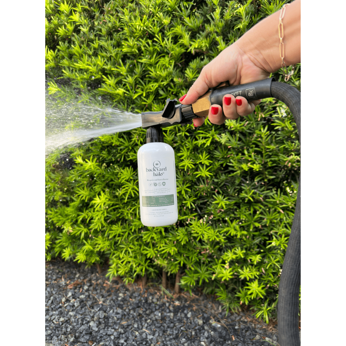 Backyard Halo End Hose Sprayer Kit | Natural and Safe Mosquito and Insect Barrier | Great for Yards | Two 16 oz Bottles | 1000 Sqft